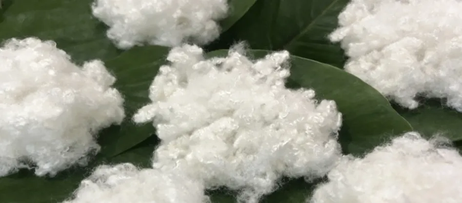 Полиестерът синтетично влакно ли е? Нещо, което трябва да знаете